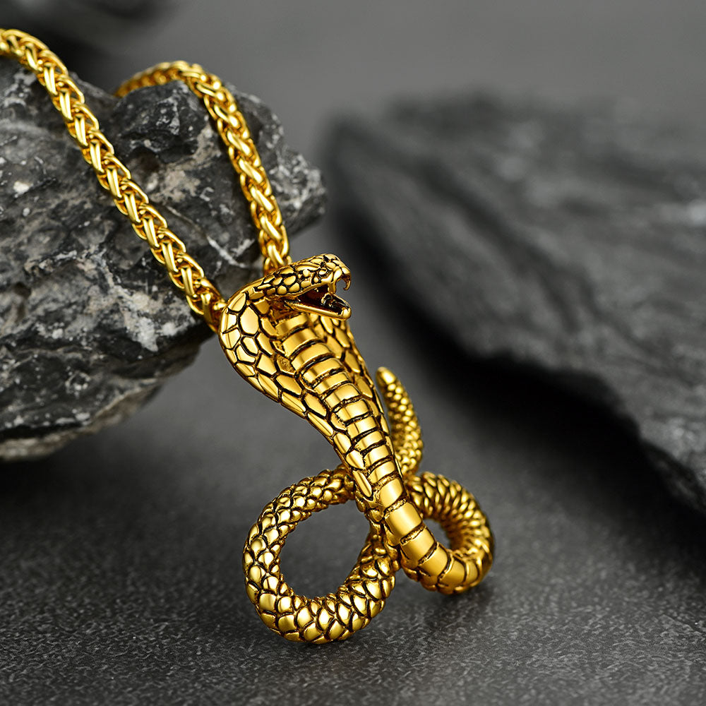 FaithHeart Cobra Pendant Necklace Stainless Steel Punk Jewelry FaithHeart