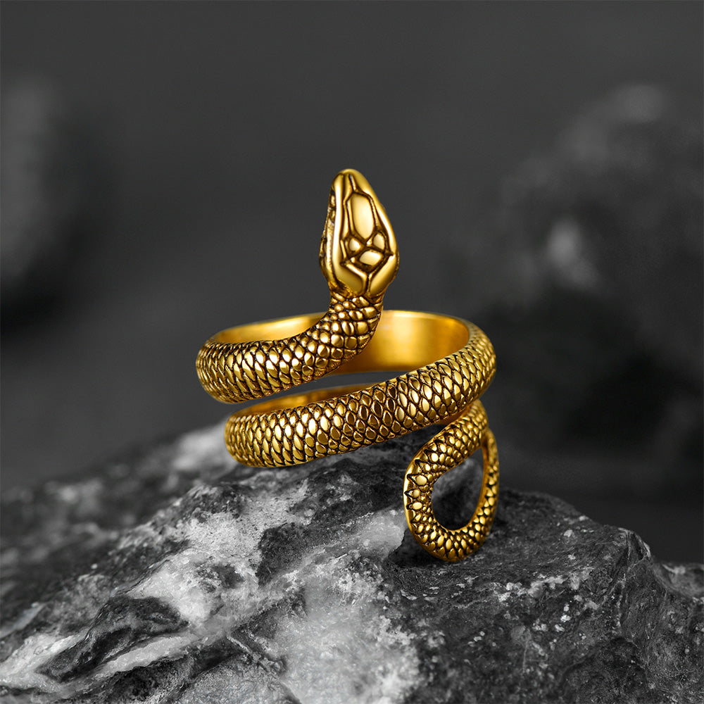 FaithHeart Punk Coiled Snake Ring for Men FaithHeart
