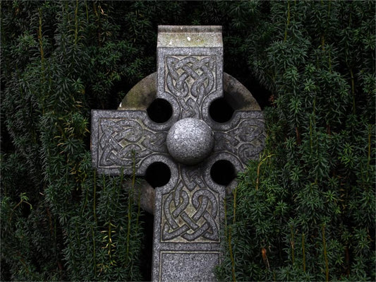 A stone Celtic cross with intricate knotwork carvings, surrounded by dark green foliage