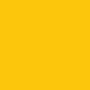  Yellow.jpg